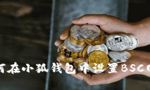 如何在小狐錢(qián)包中設置BSC網(wǎng)絡(luò )
