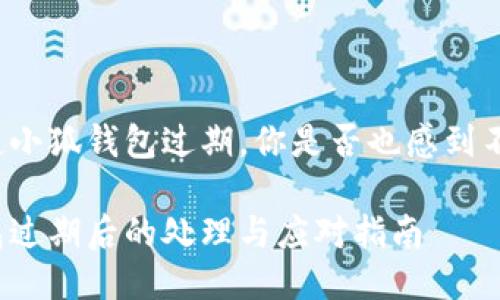 每當提起小狐錢(qián)包過(guò)期，你是否也感到不知所措？

小狐錢(qián)包過(guò)期后的處理與應對指南