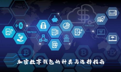 加密數(shù)字錢(qián)包的種類與選擇指南