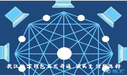 武漢數(shù)字錢包正式開通，便民支付新選擇
