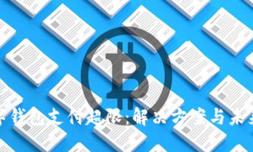 : 數(shù)字錢(qián)包支付超限：解決方案與未來(lái)發(fā)展