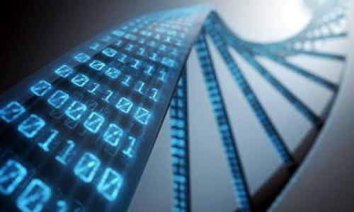 

metaMask最新安卓版：全方位指南與使用技巧

關(guān)鍵詞
MetaMask, 加密錢(qián)包, 區塊鏈/guanjianci

詳細介紹

在當今數字化時(shí)代，去中心化金融的興起使得越來(lái)越多的用戶(hù)開(kāi)始關(guān)注和使用加密貨幣，而MetaMask作為一個(gè)領(lǐng)先的數字錢(qián)包和去中心化應用（DApp）平臺，成為了用戶(hù)與區塊鏈世界的橋梁。最新的MetaMask安卓版更是增加了多種新特性，提升了用戶(hù)體驗，本文將詳細介紹MetaMask的使用方法、功能特點(diǎn)，以及常見(jiàn)問(wèn)題的解答。

MetaMask安卓版的功能特點(diǎn)

MetaMask不僅提供了一種安全的方式來(lái)存儲和管理加密貨幣，還允許用戶(hù)直接與區塊鏈進(jìn)行交互。在最新的安卓版中，引入了更多創(chuàng  )新功能，如：易用的用戶(hù)界面、更加多樣化的資產(chǎn)管理、增強的安全性以及更快的交易確認等。

1. strong用戶(hù)友好的界面/strong
新版MetaMask提供了一個(gè)更直觀(guān)的用戶(hù)界面，簡(jiǎn)化了錢(qián)包的操作步驟，使得新手用戶(hù)也能輕松上手。用戶(hù)可以快速查看自己的資產(chǎn)、交易記錄以及DApp訪(fǎng)問(wèn)歷史。

2. strong多種資產(chǎn)支持/strong
MetaMask支持以太坊和ERC-20代幣的管理，用戶(hù)可以在單一的應用程序中管理多種數字資產(chǎn)，方便性大大增強。

3. strong安全性提升/strong
最新版本增加了額外的安全防護措施，用戶(hù)可以通過(guò)面部識別或指紋識別等生物驗證技術(shù)來(lái)保護他們的錢(qián)包，進(jìn)一步保障資產(chǎn)安全。

4. strong高效交易處理/strong
MetaMask最新版了交易處理流程，用戶(hù)可以更快地完成交易，提高了在DApp中交互的流暢性。

使用MetaMask的步驟

使用MetaMask的第一步是下載并安裝應用程序。在A(yíng)ndroid設備上，可以從Google Play商店下載安裝。安裝完成后，用戶(hù)需要創(chuàng  )建一個(gè)新的錢(qián)包或恢復已有錢(qián)包。

1. strong創(chuàng  )建錢(qián)包/strong
打開(kāi)MetaMask應用，點(diǎn)擊“創(chuàng  )建錢(qián)包”，然后設置一個(gè)復雜且安全的密碼。隨后，用戶(hù)會(huì )獲得一個(gè)助記詞，務(wù)必將其妥善保存，助記詞是恢復錢(qián)包的唯一憑證。

2. strong添加資產(chǎn)/strong
可以通過(guò)‘添加資產(chǎn)’功能，將自己持有的ERC-20代幣添加到錢(qián)包中。用戶(hù)只需輸入代幣的合約地址、符號及小數位數，系統就會(huì )自動(dòng)識別并添加。

3. strong進(jìn)行交易/strong
通過(guò)MetaMask，用戶(hù)可以輕松進(jìn)行轉賬和接收加密貨幣。在主頁(yè)選擇“發(fā)送”或“接收”，按提示操作即可完成交易。

常見(jiàn)問(wèn)題分析

1. 如何保證MetaMask錢(qián)包的安全性？

MetaMask的安全性是用戶(hù)最為關(guān)注的話(huà)題，尤其是在頻繁的網(wǎng)絡(luò )攻擊和騙局發(fā)生的背景下。為了最大限度地保護錢(qián)包，用戶(hù)應采取以下幾條措施：

1. strong妥善保管助記詞和私鑰/strong
助記詞是恢復錢(qián)包的重要憑證，切勿隨意分享或存儲于網(wǎng)絡(luò )上。私鑰也同樣重要，其泄露將導致資產(chǎn)失竊。

2. strong啟用雙重認證/strong
盡可能開(kāi)啟雙重認證（2FA），這為登錄添加了一道額外的安全防線(xiàn)。

3. strong定期更新應用/strong
保持MetaMask應用的最新版本，以確保擁有最新的安全防護和功能。

4. strong小心釣魚(yú)攻擊/strong
很多騙子使用釣魚(yú)網(wǎng)站或假應用程序獲取用戶(hù)資料，務(wù)必確保訪(fǎng)問(wèn)官方網(wǎng)站或官方應用商店下載應用，避免點(diǎn)擊不明鏈接。

2. 如何處理MetaMask中的交易失敗問(wèn)題？

在使用MetaMask時(shí)，用戶(hù)偶爾可能會(huì )遇到交易失敗的情況，這可能由于網(wǎng)絡(luò )擁堵、氣體費用設置不當或合約問(wèn)題引起。處理此類(lèi)問(wèn)題的步驟如下：

1. strong檢查網(wǎng)絡(luò )狀態(tài)/strong
確保Ethereum網(wǎng)絡(luò )正常運行，可以通過(guò)一些區塊鏈瀏覽器（如Etherscan）查看網(wǎng)絡(luò )狀態(tài)。

2. strong調整氣體費用/strong
交易失敗常由于氣體費用過(guò)低，用戶(hù)可以適當提高氣體價(jià)格，以確保交易被礦工快速處理。

3. strong耐心等待/strong
有時(shí)候只是網(wǎng)絡(luò )擁堵，稍等片刻后再次提交交易或許能解決問(wèn)題。

4. strong查看交易記錄/strong
通過(guò)查看歷史交易記錄，用戶(hù)可以了解交易失敗的具體原因，如是否因余額不足、目標地址無(wú)效等問(wèn)題導致的。

3. MetaMask與其他加密錢(qián)包的對比

在選擇加密錢(qián)包時(shí)，用戶(hù)需要了解不同錢(qián)包的優(yōu)缺點(diǎn)。以MetaMask與其他流行錢(qián)包（如Trust Wallet和Coinbase Wallet）為例，進(jìn)行比較：

1. strong用戶(hù)友好性：/strong
MetaMask以其簡(jiǎn)潔易用的界面而著(zhù)稱(chēng)，適合新手用戶(hù)，而Trust Wallet同樣友好，但在界面上稍顯復雜。Coinbase Wallet則依托于Coinbase生態(tài)，用戶(hù)可以享受更多的功能，但界面復雜度稍高。

2. strong功能強大：/strong
MetaMask支持訪(fǎng)問(wèn)各種DApp和DeFi服務(wù)，用戶(hù)可進(jìn)行交易、質(zhì)押和借貸等操作。Trust Wallet同樣支持多種資產(chǎn)和DApp，而Coinbase Wallet則受制于其平臺的限制，功能相對單一。

3. strong安全性：/strong
MetaMask的私鑰和助記詞保存在用戶(hù)本地，安全性較高。但用戶(hù)需自覺(jué)防范釣魚(yú)攻擊。Trust Wallet則提供了非托管錢(qián)包的選項，安全性更上層樓。Coinbase Wallet因依賴(lài)于中心化平臺，安全性則相對較低。

4. 常見(jiàn)的MetaMask使用技巧

為了更好地利用MetaMask，用戶(hù)可以掌握一些實(shí)用技巧如下：

1. strong使用硬件錢(qián)包結合MetaMask/strong
可以將MetaMask與硬件錢(qián)包（如Ledger或Trezor）結合使用，進(jìn)一步加強安全性。用戶(hù)在進(jìn)行重大交易或持有大額資產(chǎn)時(shí)建議如此操作。

2. strong定期備份錢(qián)包/strong
定期更新助記詞并進(jìn)行備份，以避免數據丟失的風(fēng)險。

3. strong多賬戶(hù)管理/strong
MetaMask支持多賬戶(hù)管理，用戶(hù)可以根據需求創(chuàng  )建多個(gè)錢(qián)包，便于資產(chǎn)的分類(lèi)管理。

4. strong參與社區和學(xué)習/strong
加入MetaMask相關(guān)的社區或論壇，獲取最新動(dòng)態(tài)和使用技巧，與其他用戶(hù)交流經(jīng)驗，幫助自己更好地掌握MetaMask。

總之，MetaMask是一個(gè)功能強大且安全的數字錢(qián)包，用戶(hù)只需掌握基本的使用技巧和安全措施，即可順暢地在區塊鏈世界游刃有余。以上內容希望能幫助到每一位使用MetaMask的用戶(hù)，提升他們在加密貨幣與區塊鏈技術(shù)領(lǐng)域的認知和操作能力。