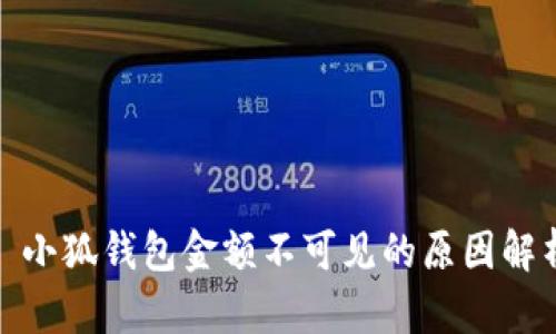 : 小狐錢(qián)包金額不可見(jiàn)的原因解析