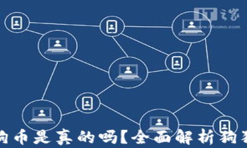 
小狐錢(qián)包存狗狗幣是真的嗎？全面解析狗狗幣存儲安全性