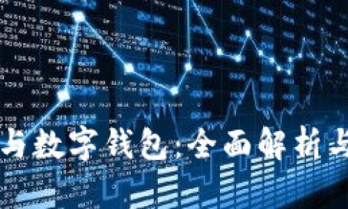 公司賬戶與數字錢包：全面解析與應用前景