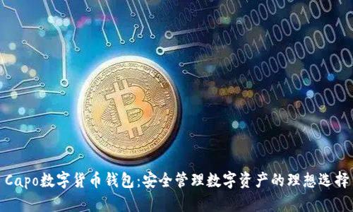 Capo數(shù)字貨幣錢包：安全管理數(shù)字資產(chǎn)的理想選擇