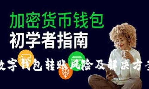 數(shù)字錢包轉(zhuǎn)賬風(fēng)險(xiǎn)及解決方案
