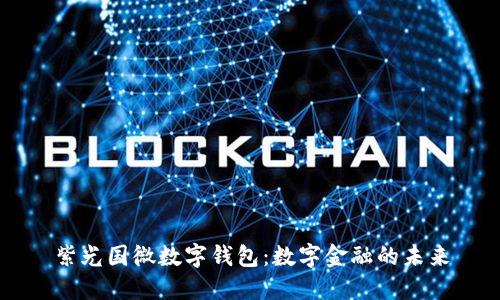 紫光國微數(shù)字錢包：數(shù)字金融的未來