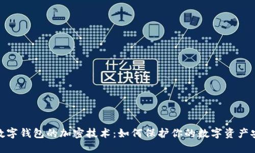 : 數(shù)字錢包的加密技術(shù)：如何保護(hù)你的數(shù)字資產(chǎn)安全