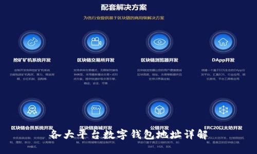 各大平臺(tái)數(shù)字錢包地址詳解