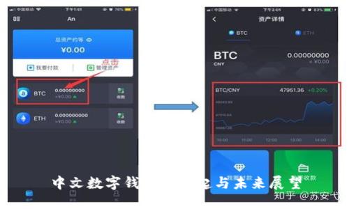 中文數(shù)字錢包的崛起與未來展望
