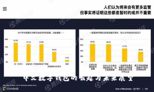 中文數(shù)字錢包的崛起與未來展望