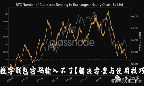 數(shù)字錢(qián)包密碼輸入不了？解決方案與使用技巧
