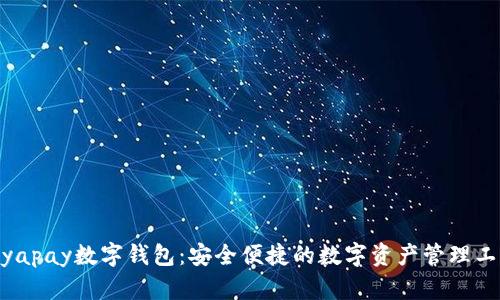 biyapay數(shù)字錢包：安全便捷的數(shù)字資產(chǎn)管理工具