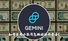 如何使用小狐錢(qián)包地址進(jìn)