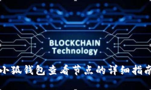 小狐錢(qián)包查看節點(diǎn)的詳細指南