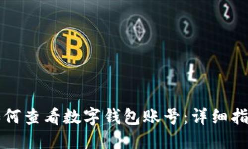 如何查看數(shù)字錢包賬號：詳細(xì)指南