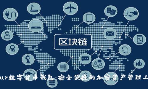 Blur數(shù)字貨幣錢包：安全便捷的加密資產(chǎn)管理工具