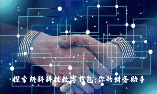 探索朗科科技數(shù)字錢包：你的財務(wù)助手