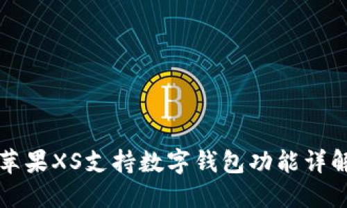 蘋果XS支持數字錢包功能詳解