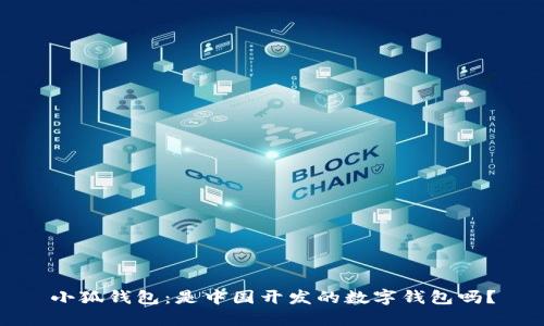 小狐錢包：是中國開發(fā)的數(shù)字錢包嗎？