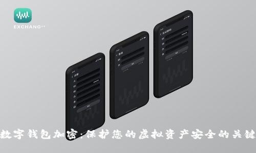 數(shù)字錢包加密：保護(hù)您的虛擬資產(chǎn)安全的關(guān)鍵