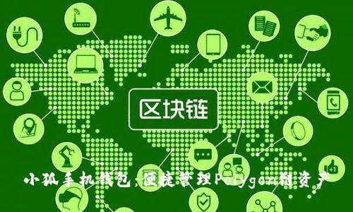 小狐手機(jī)錢(qián)包：便捷管理Polygon鏈資產(chǎn)