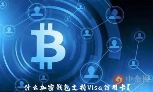 
什么加密錢包支持Visa信用卡？