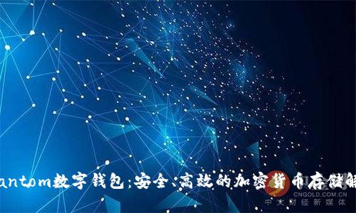 探索Phantom數(shù)字錢包：安全、高效的加密貨幣存儲(chǔ)解決方案