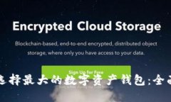 如何選擇最大的數(shù)字資產(chǎn)