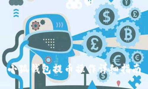 小狐錢(qián)包提幣操作詳細指南