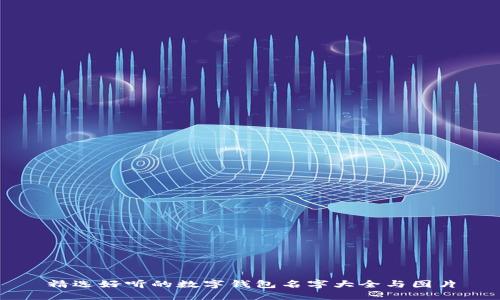 精選好聽的數(shù)字錢包名字大全與圖片