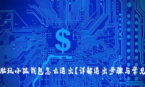 : 電腦玩小狐錢(qián)包怎么退出？詳解退出步驟與常見(jiàn)問(wèn)題