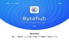 數(shù)字錢包儲(chǔ)存：安全性與