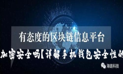 手機(jī)錢包加密安全嗎？詳解手機(jī)錢包安全性的方方面面