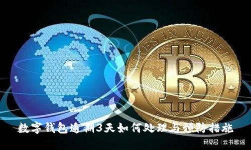 數(shù)字錢包逾期3天如何處理與預防措施