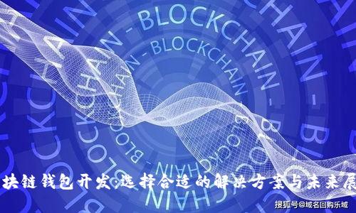 區(qū)塊鏈錢包開發(fā)：選擇合適的解決方案與未來展望