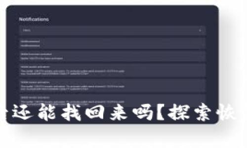 區(qū)塊鏈錢包被盜后還能找回來嗎？探索恢復(fù)途徑與預(yù)防措施