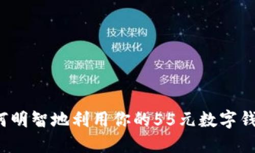 如何明智地利用你的55元數(shù)字錢包？