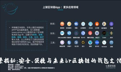 區(qū)塊鏈錢包支付的全景揭秘：安全、便捷與未來br區(qū)塊鏈的錢包支付：安全與便捷的未來br