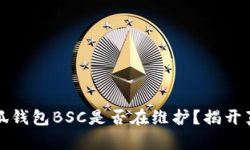 小狐錢包BSC是否在維護(hù)？揭開真相