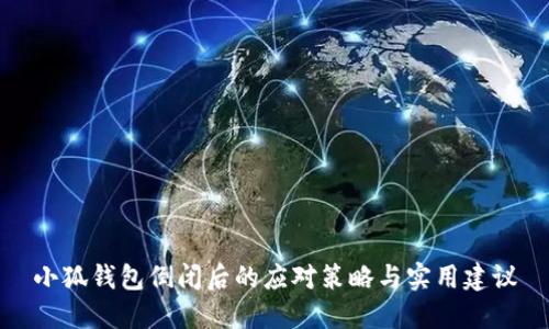 小狐錢包倒閉后的應(yīng)對策略與實用建議