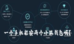 一個(gè)手機(jī)能安兩個(gè)小狐錢