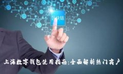 上海數(shù)字錢(qián)包使用指南：