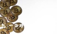 小狐的兩個(gè)錢(qián)包：一份珍