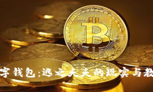 數(shù)字錢包：逃之夭夭的現(xiàn)實與教訓(xùn)