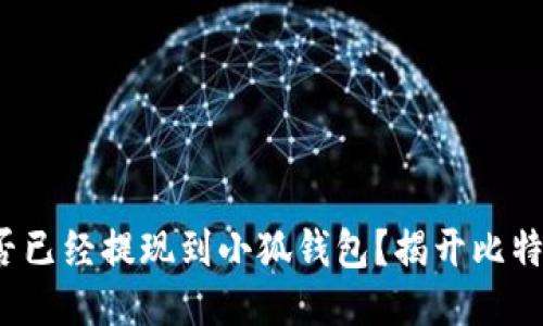 : 中本聰是否已經提現到小狐錢包？揭開比特幣神秘面紗！