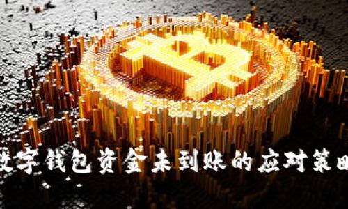數(shù)字錢包資金未到賬的應(yīng)對(duì)策略