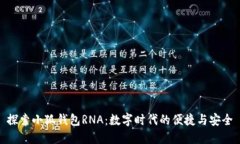 探索小狐錢包RNA：數(shù)字時(shí)