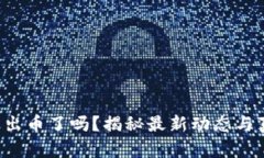 小狐錢包出幣了嗎？揭秘